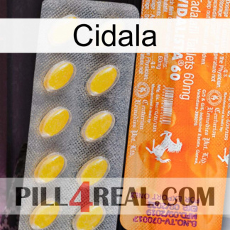 Cidala new05